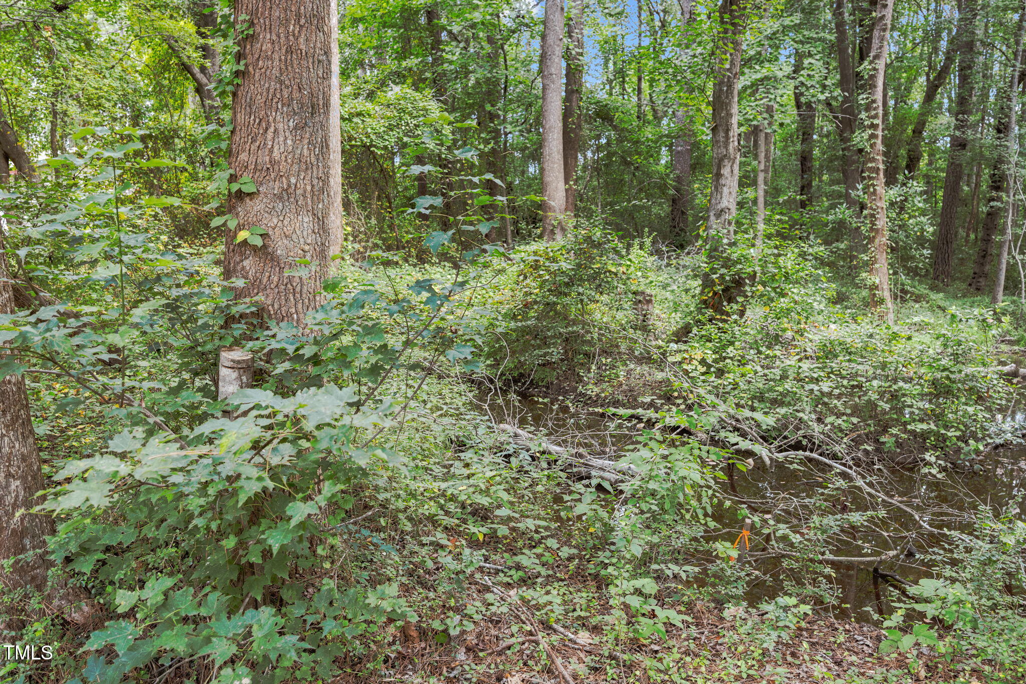 7117 Brodie Alston Lane