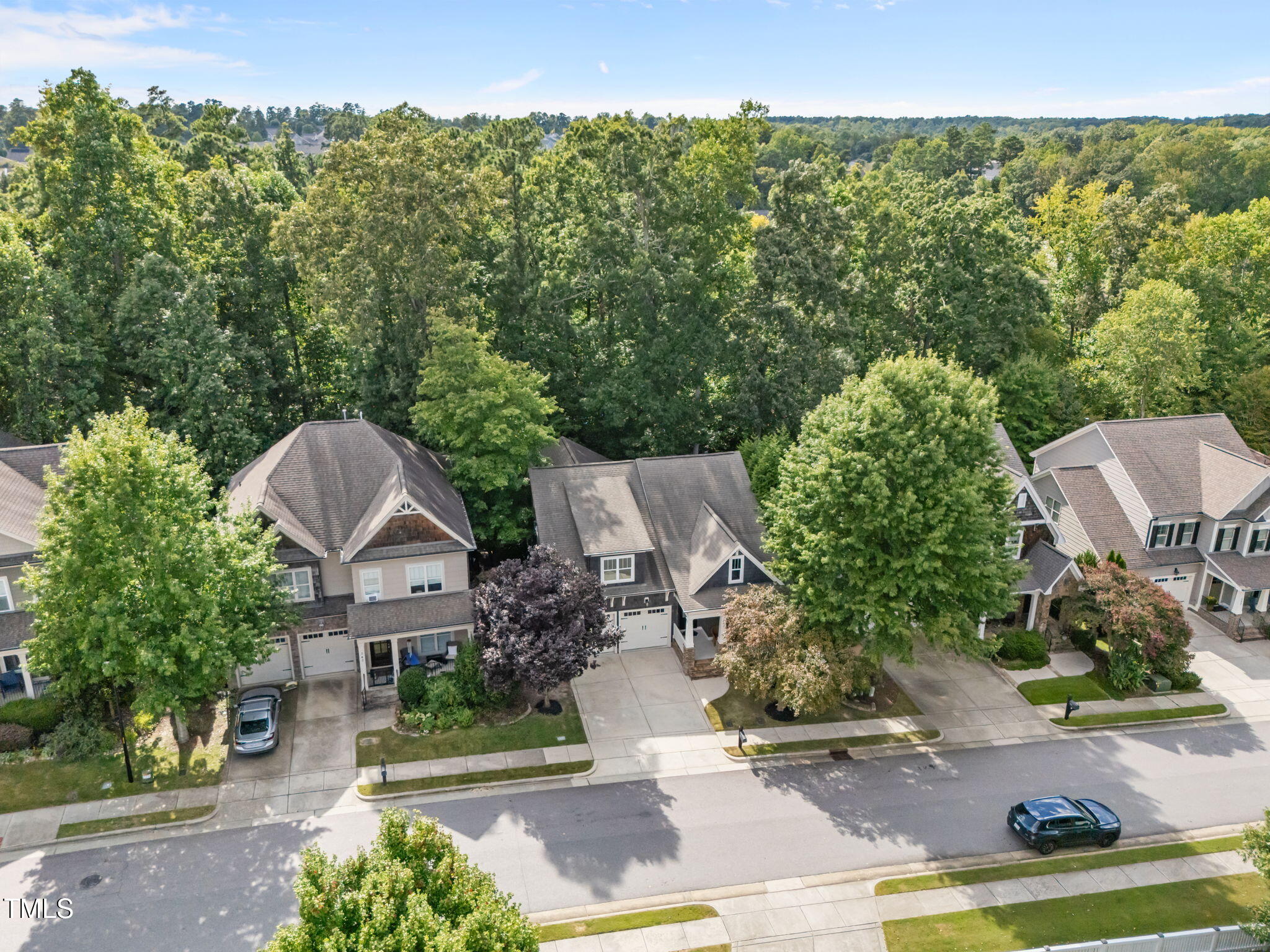 347 Dark Forest Drive