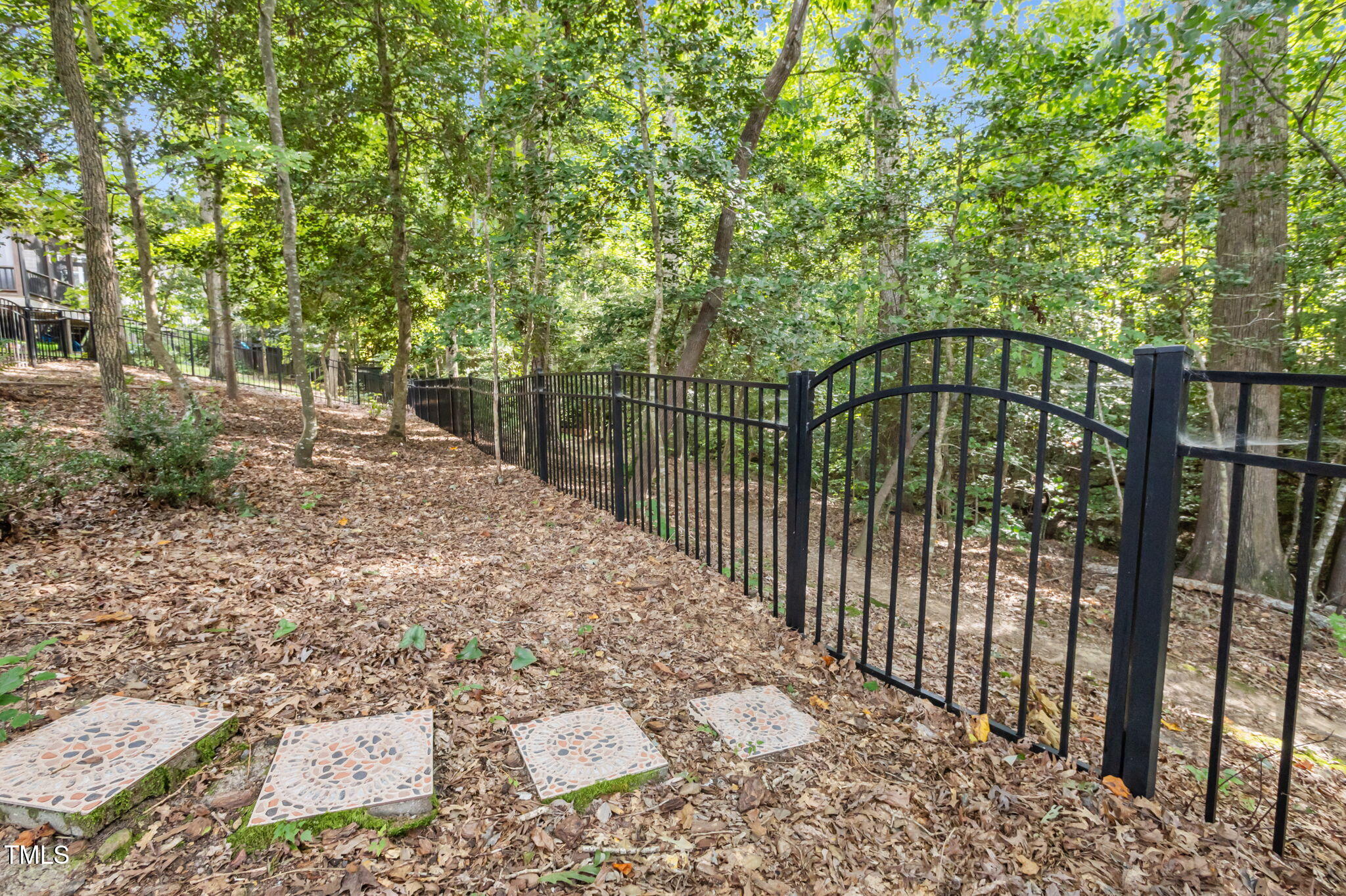 347 Dark Forest Drive
