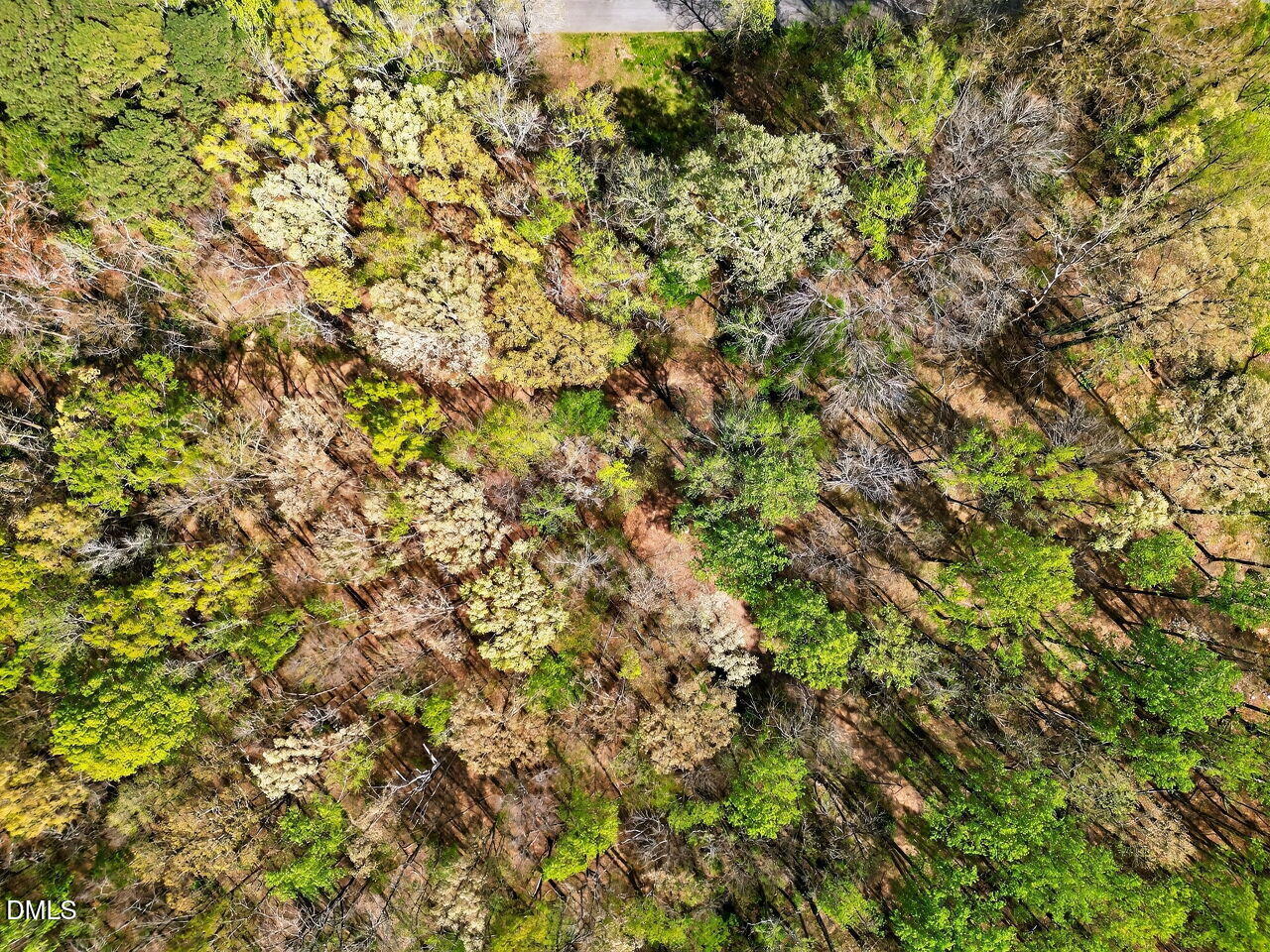 109 Colchester Avenue