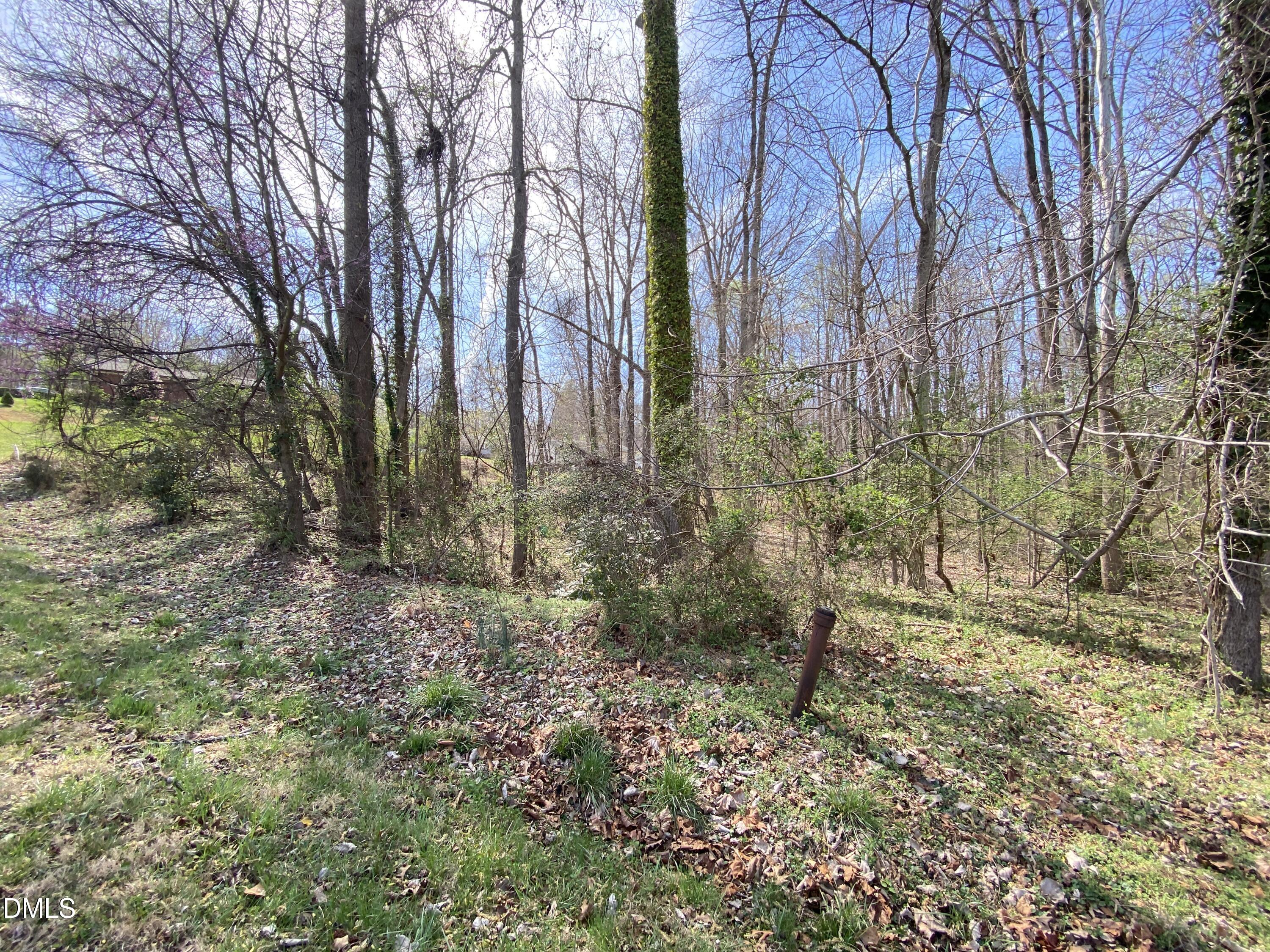 109 Colchester Avenue