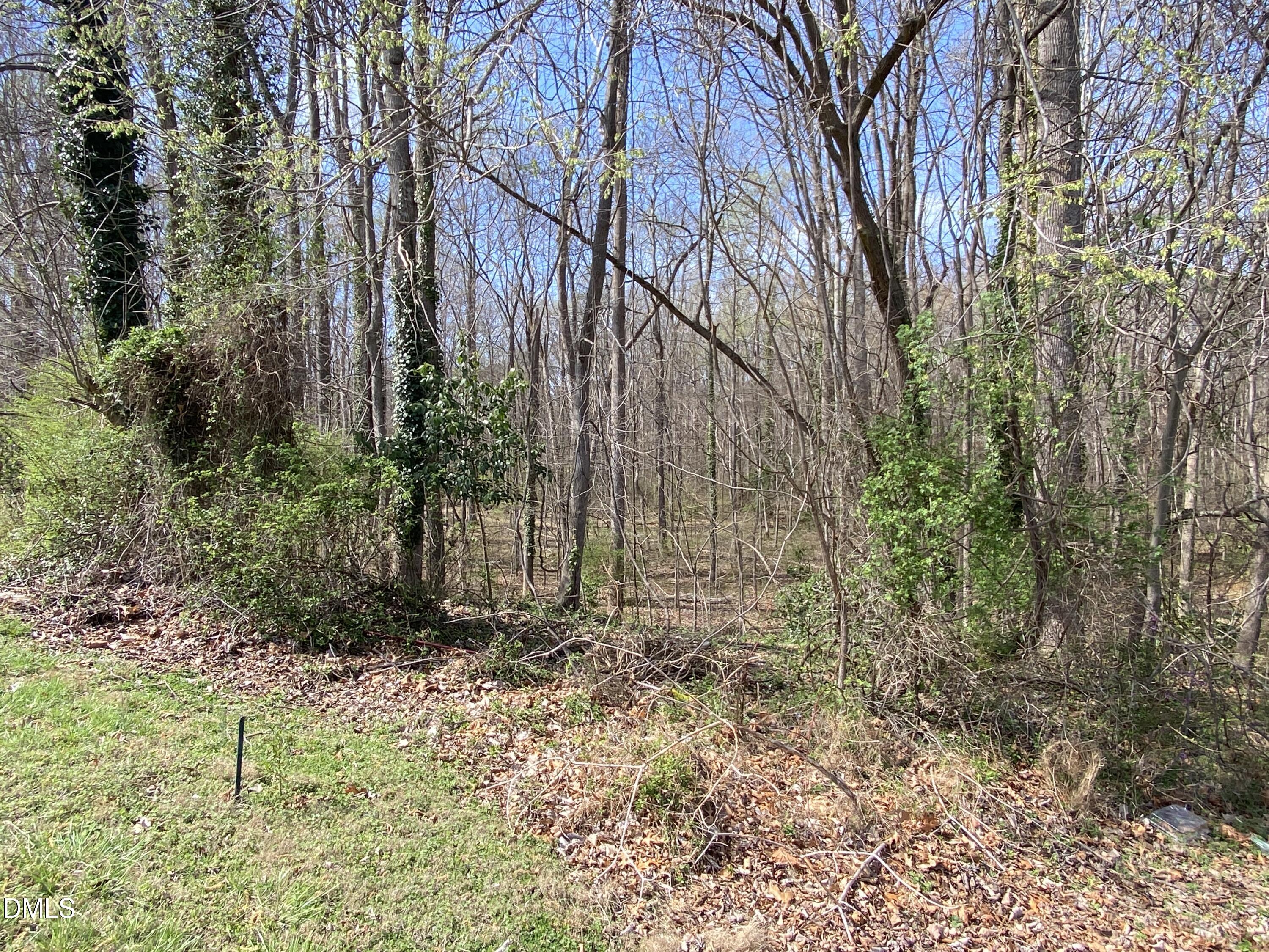 109 Colchester Avenue