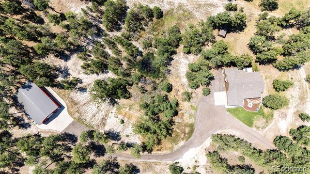 36451 Forest Trail