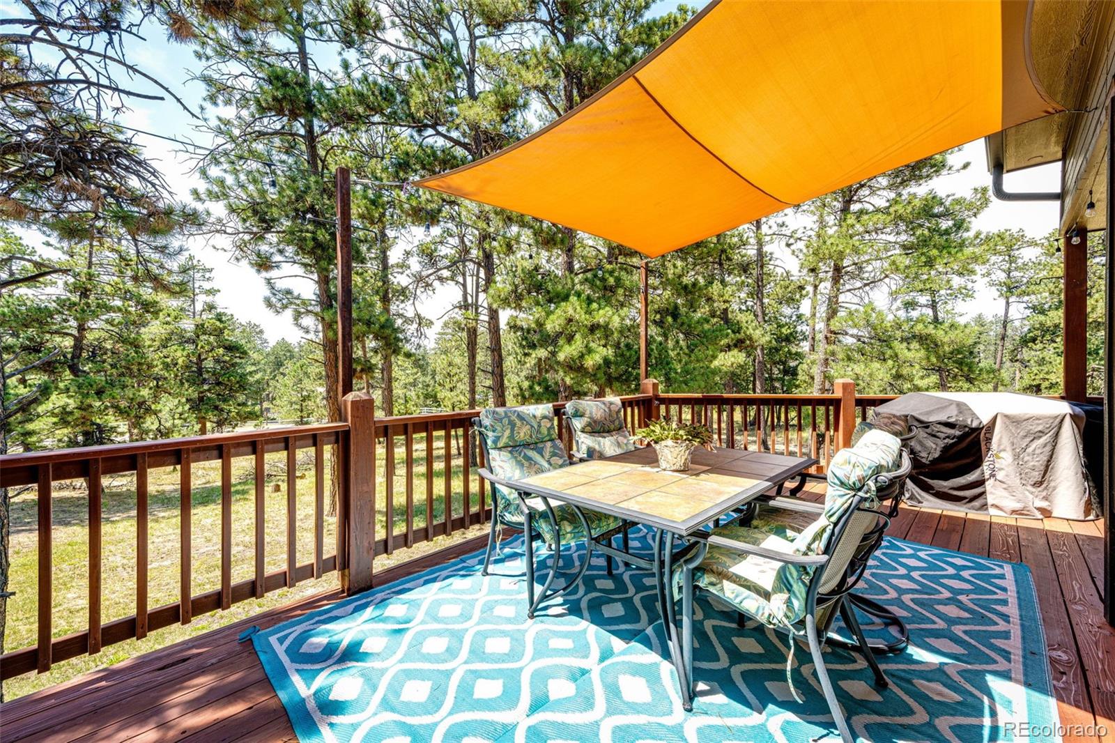 36451 Forest Trail