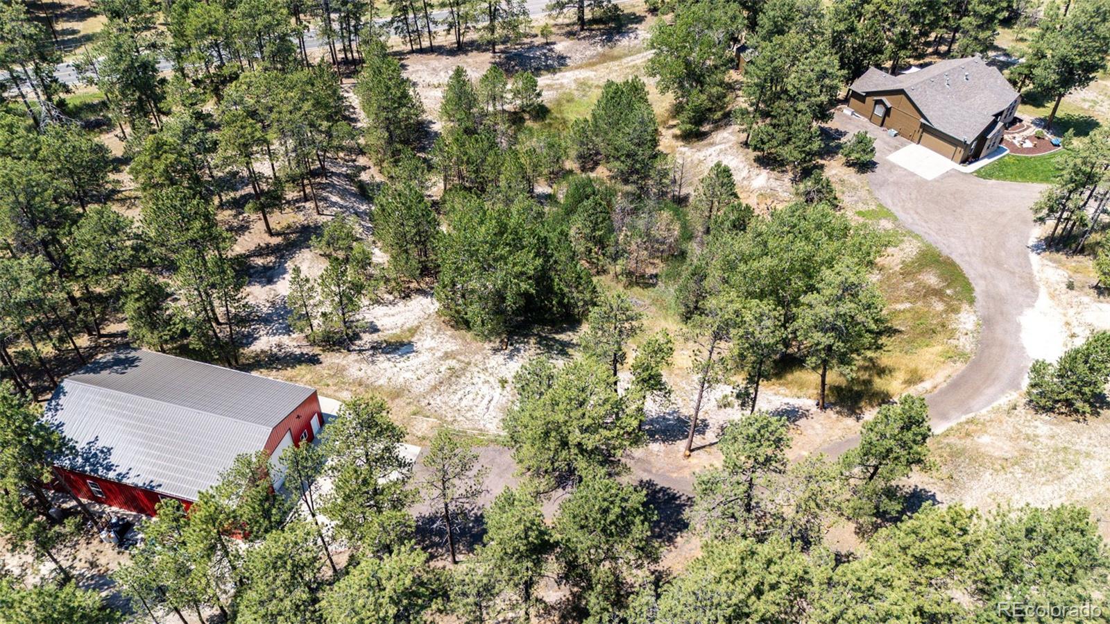 36451 Forest Trail