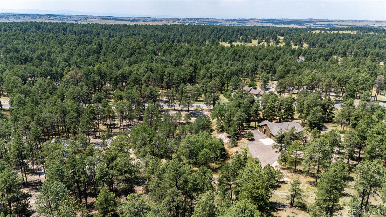 36451 Forest Trail