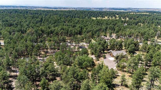 36451 Forest Trail