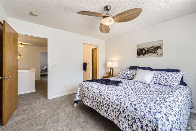 3734 Licorice Trail