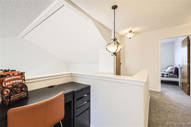 3734 Licorice Trail