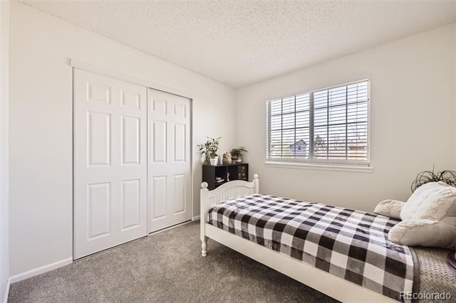 3734 Licorice Trail