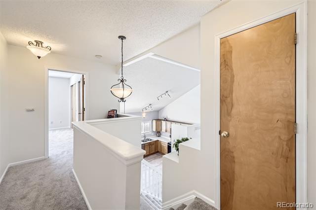 3734 Licorice Trail