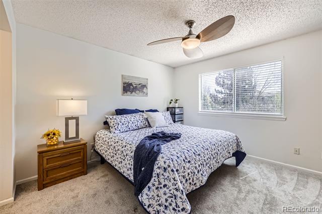 3734 Licorice Trail