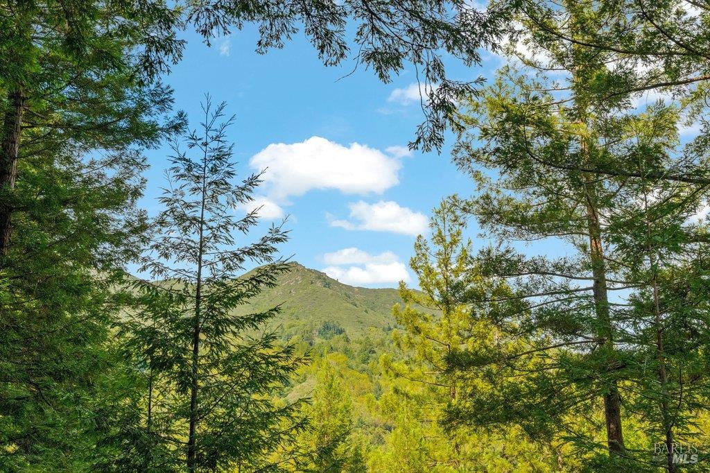 410 Monte Vista Avenue