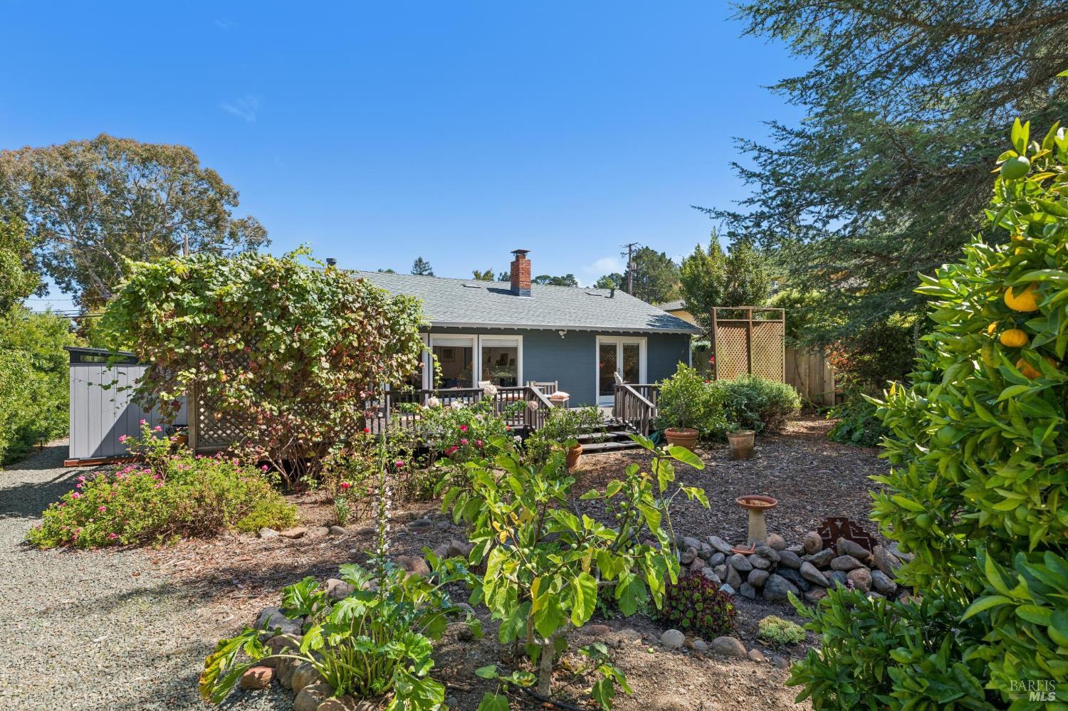 410 Maple Street