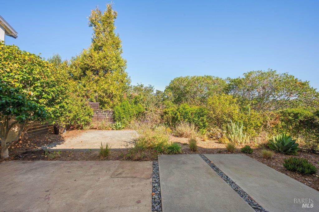 Concrete-paved yard with river-rock strips, low plantings, and mature trees.