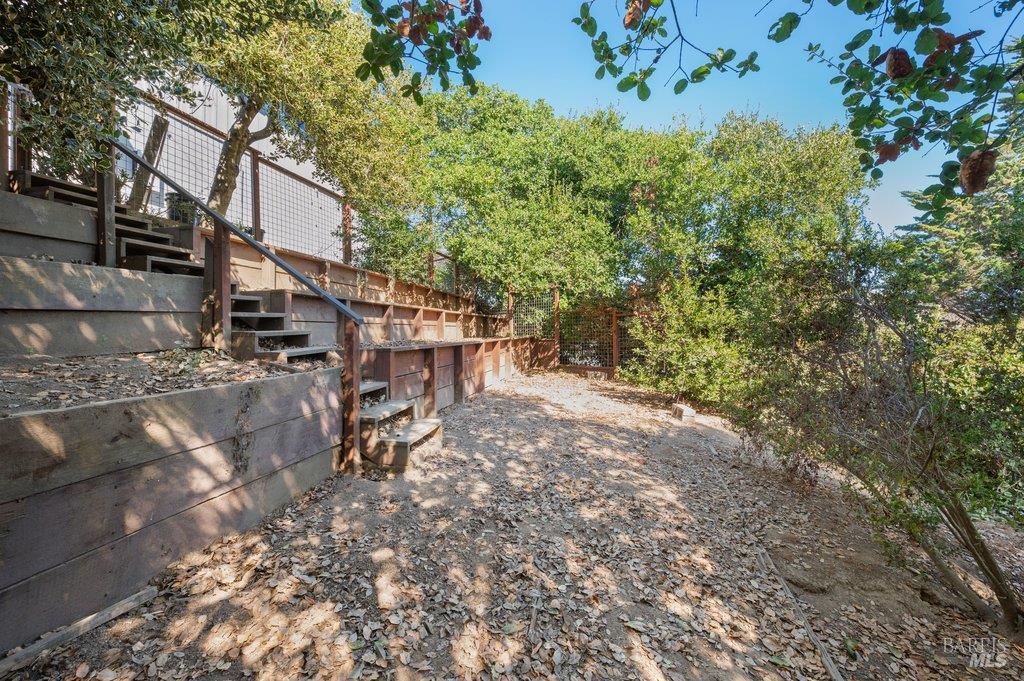 Wooded yard with a leaf-covered path beside timber retaining walls and steps.