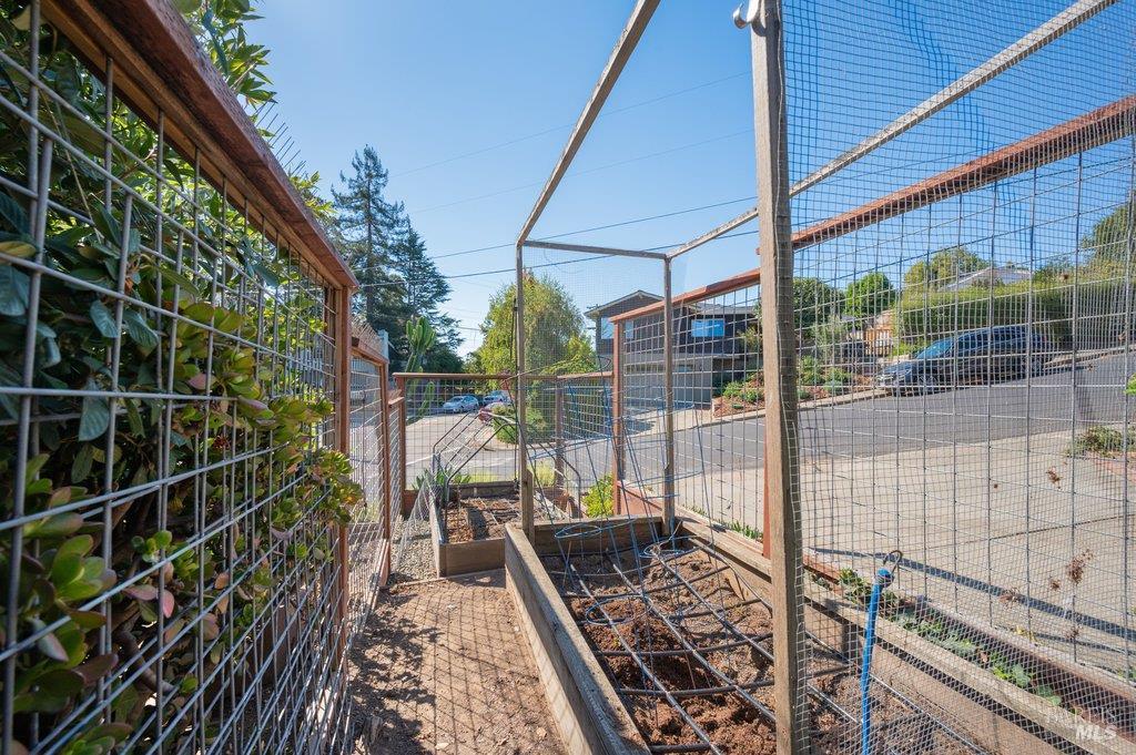 Fenced garden with raised planting beds and irrigation hoses beside a driveway.