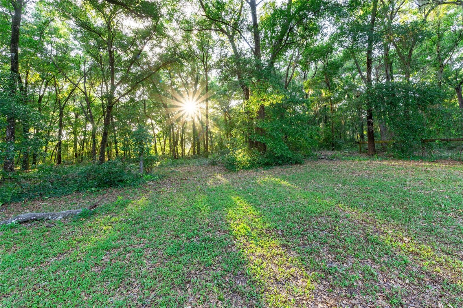 13141 MAUDIE LN