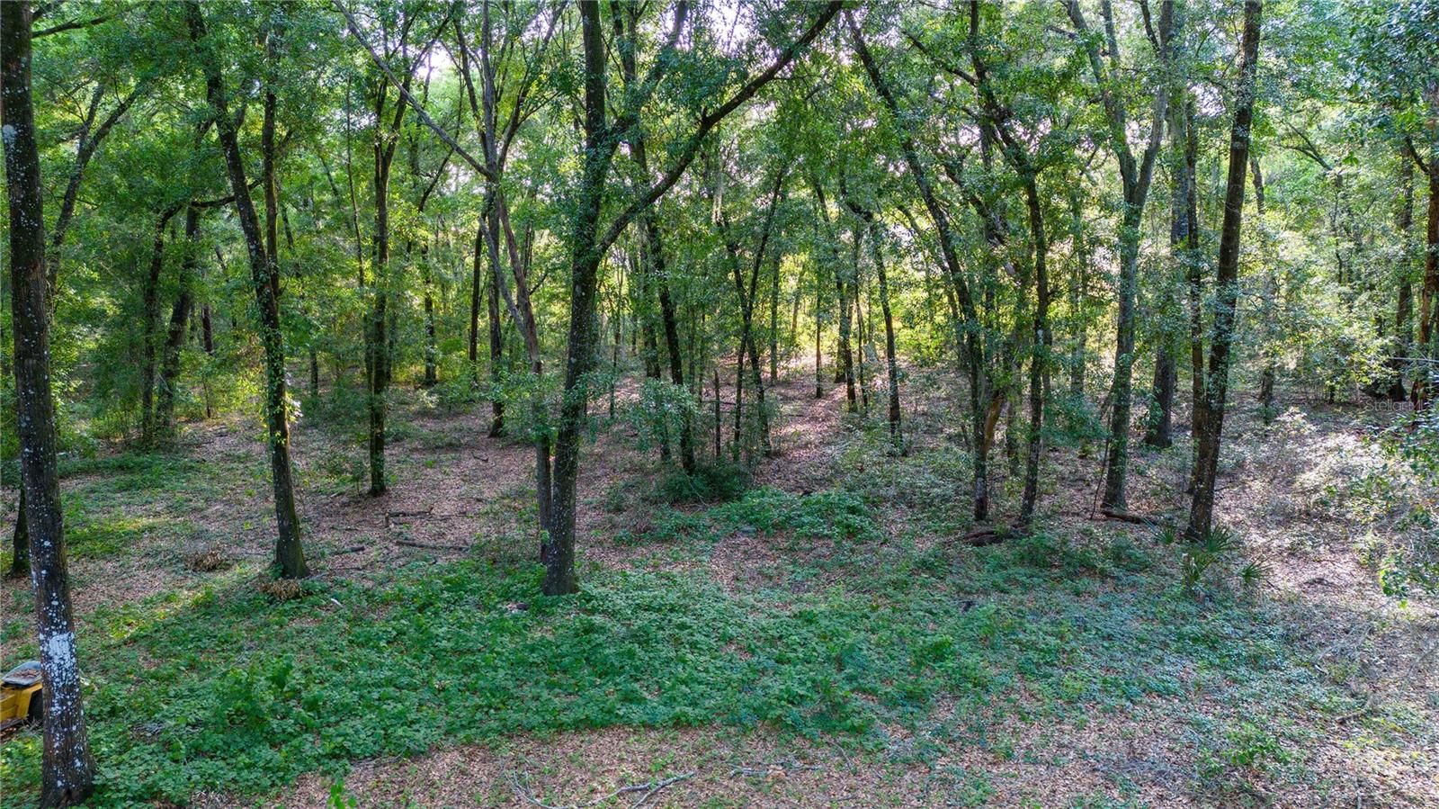 13141 MAUDIE LN
