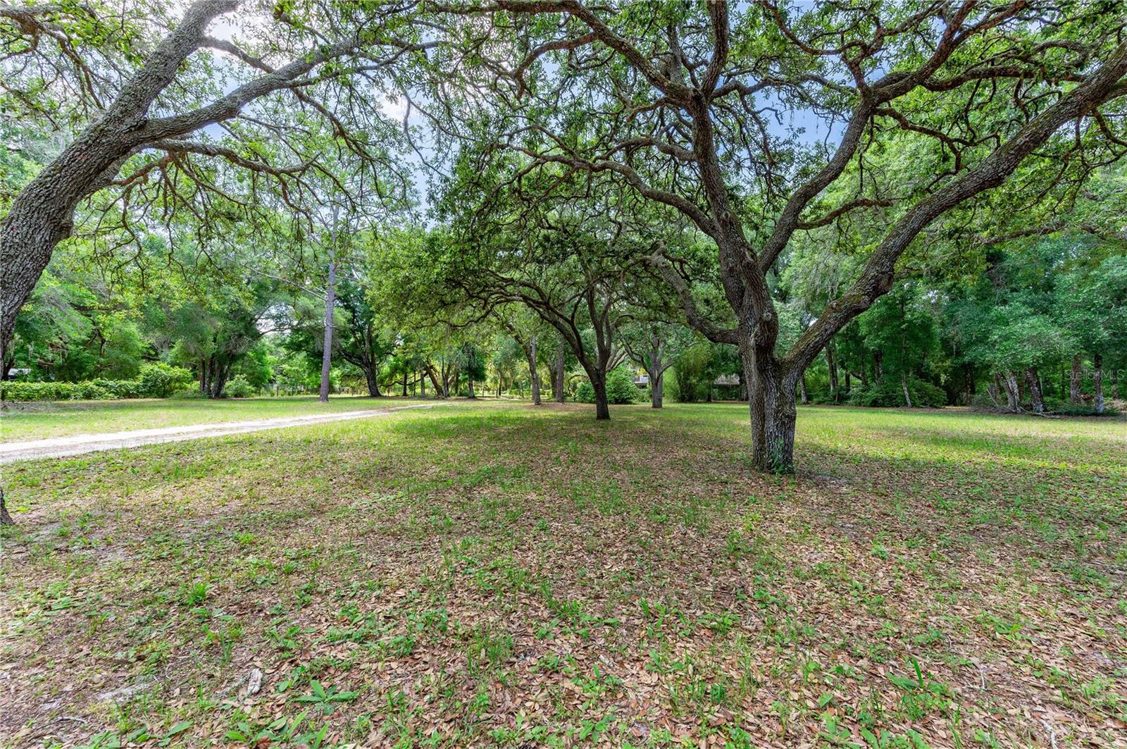 33394 ROWNTREE DR
