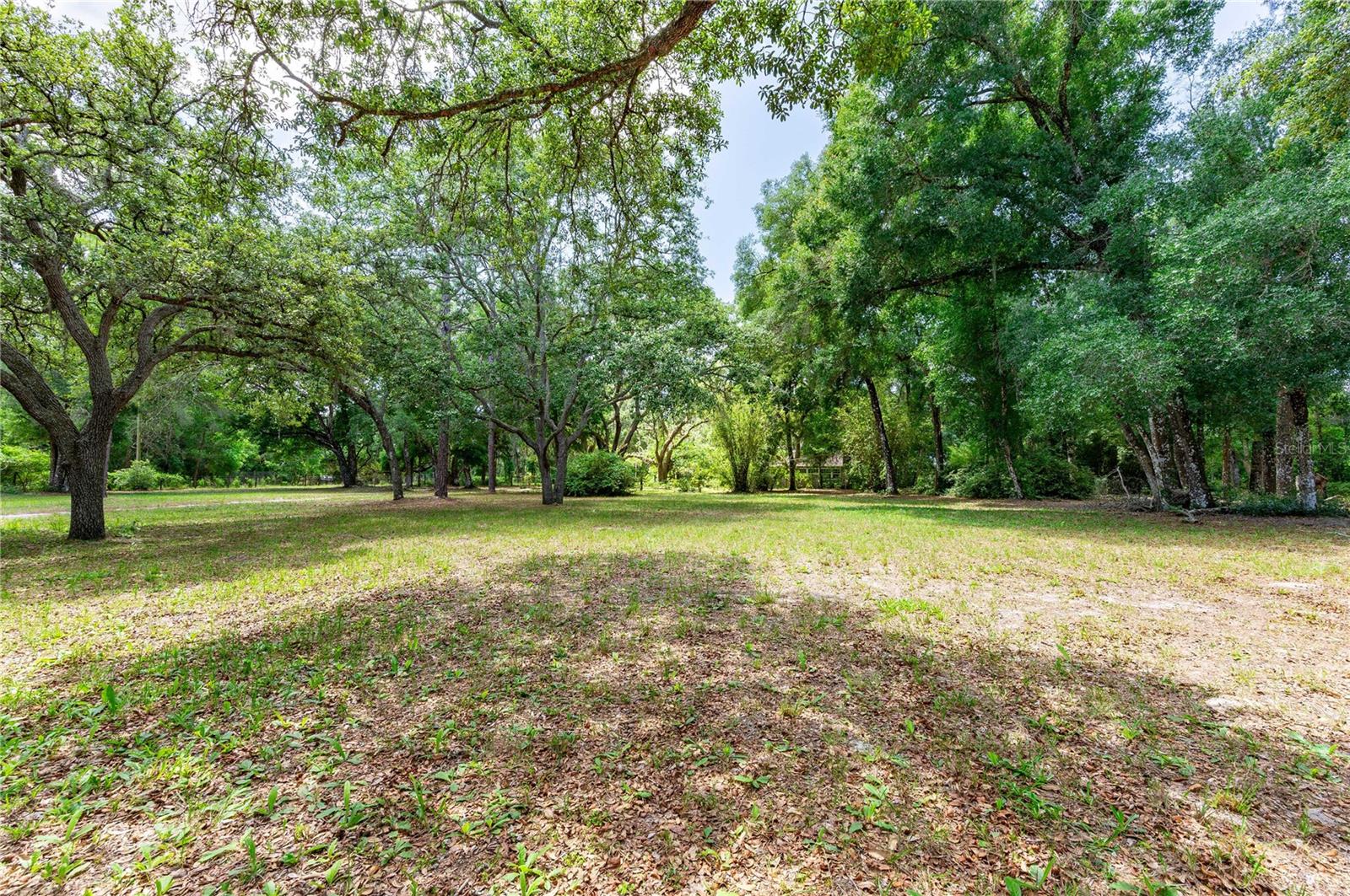 33394 ROWNTREE DR