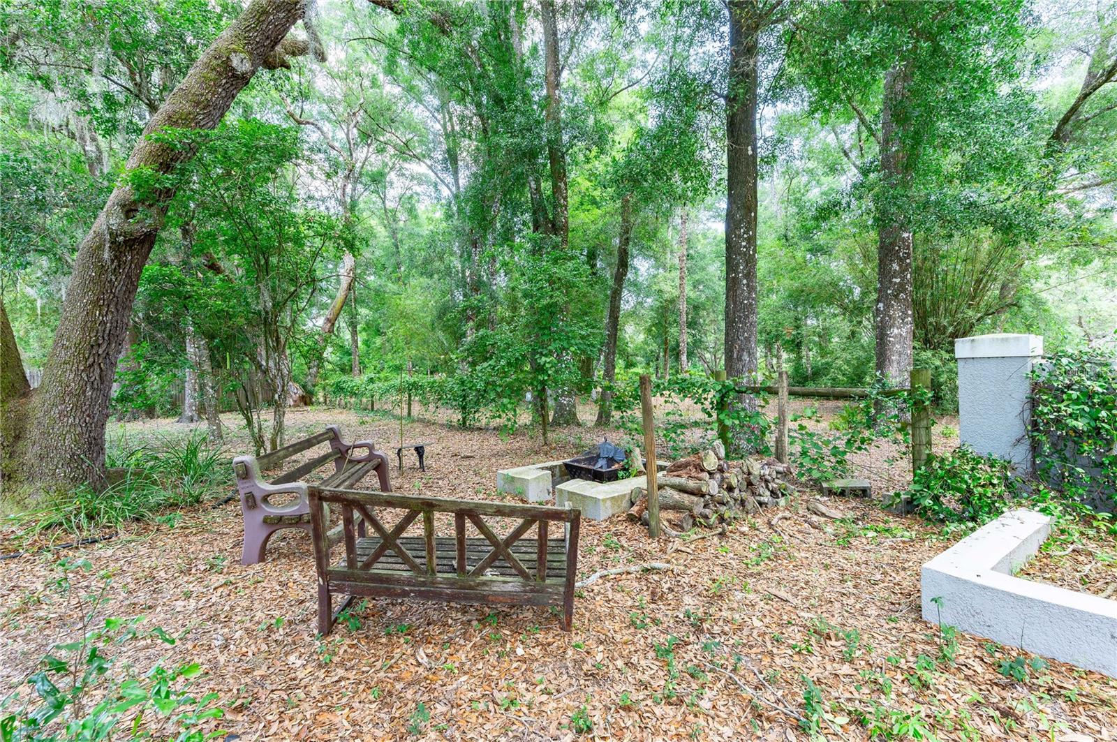 33394 ROWNTREE DR