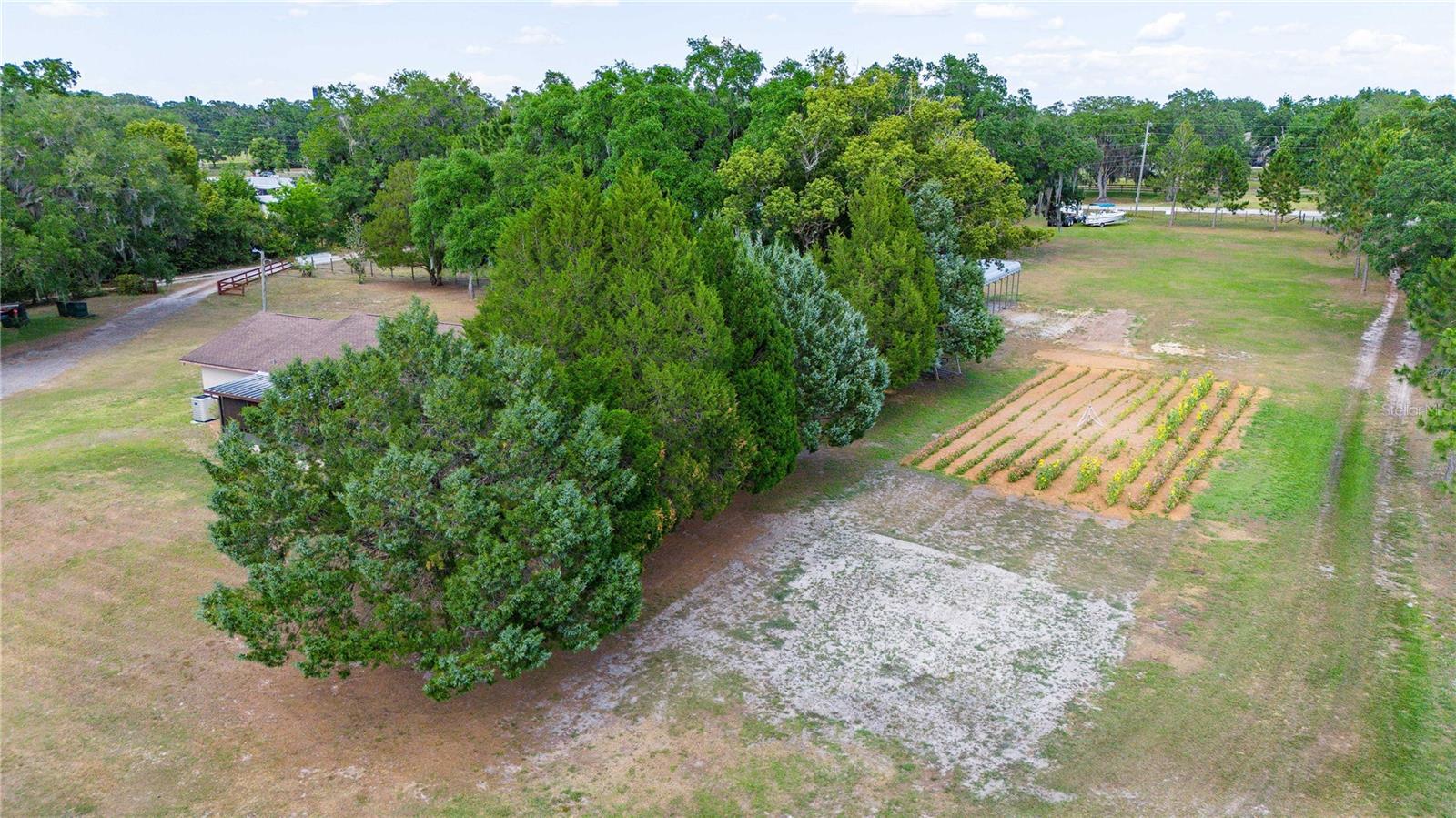 14339 BELLAMY BROTHERS BLVD