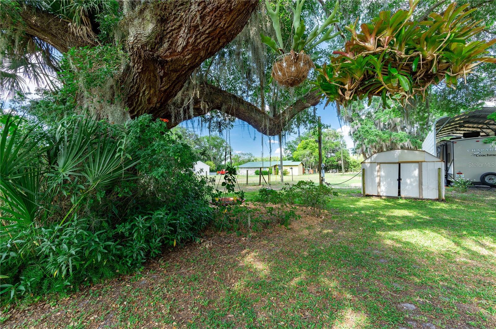 14339 BELLAMY BROTHERS BLVD