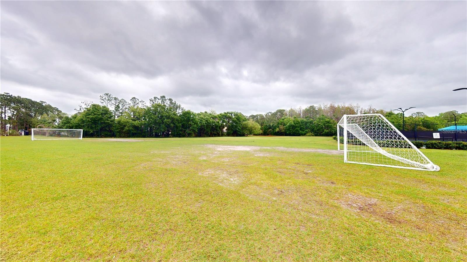 10423 CANARY ISLE DR