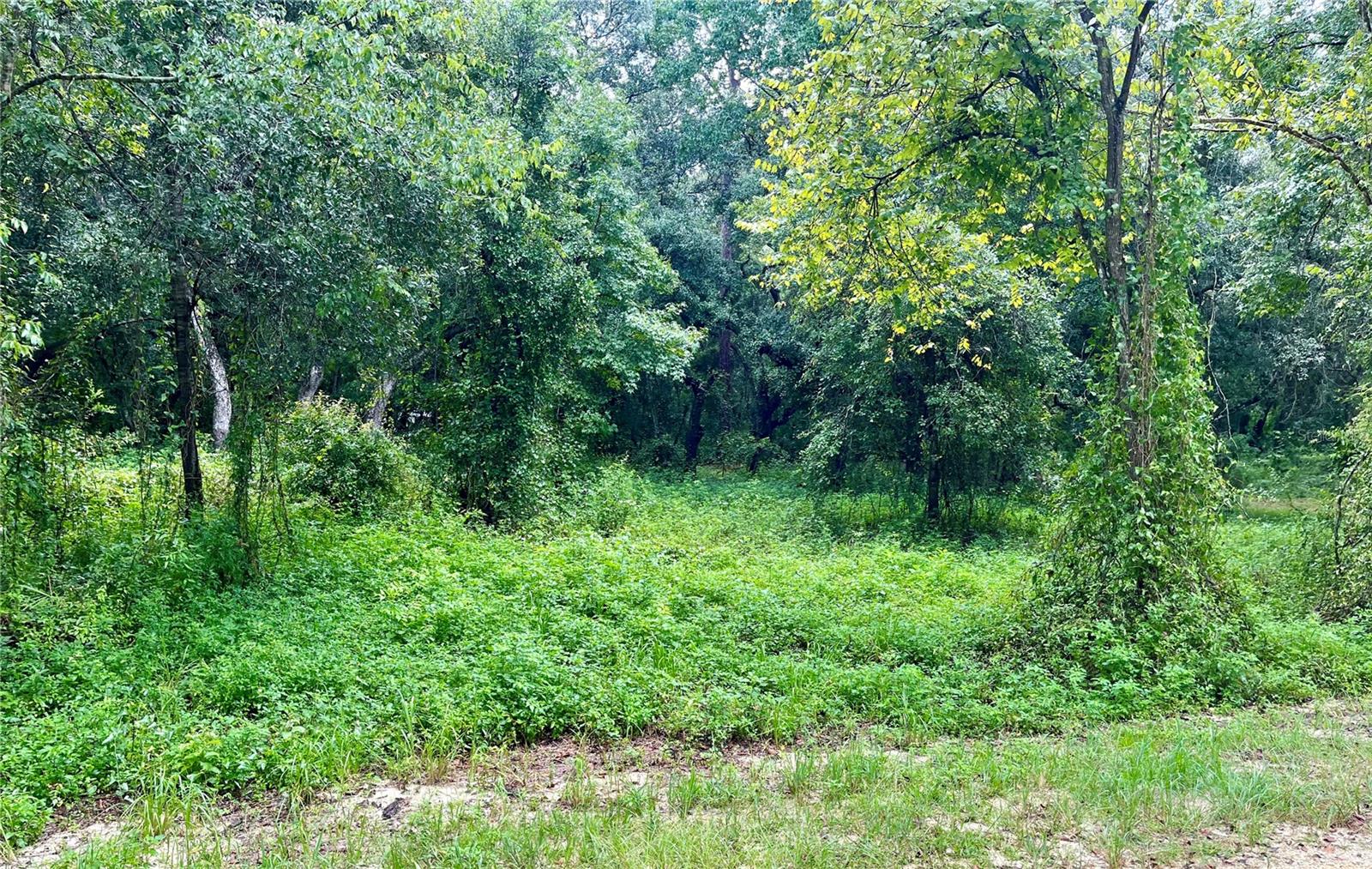 POLARIS RD