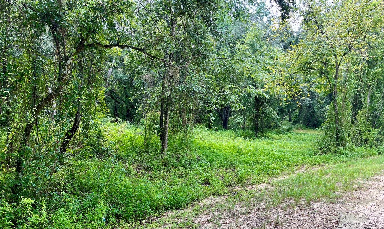 POLARIS RD