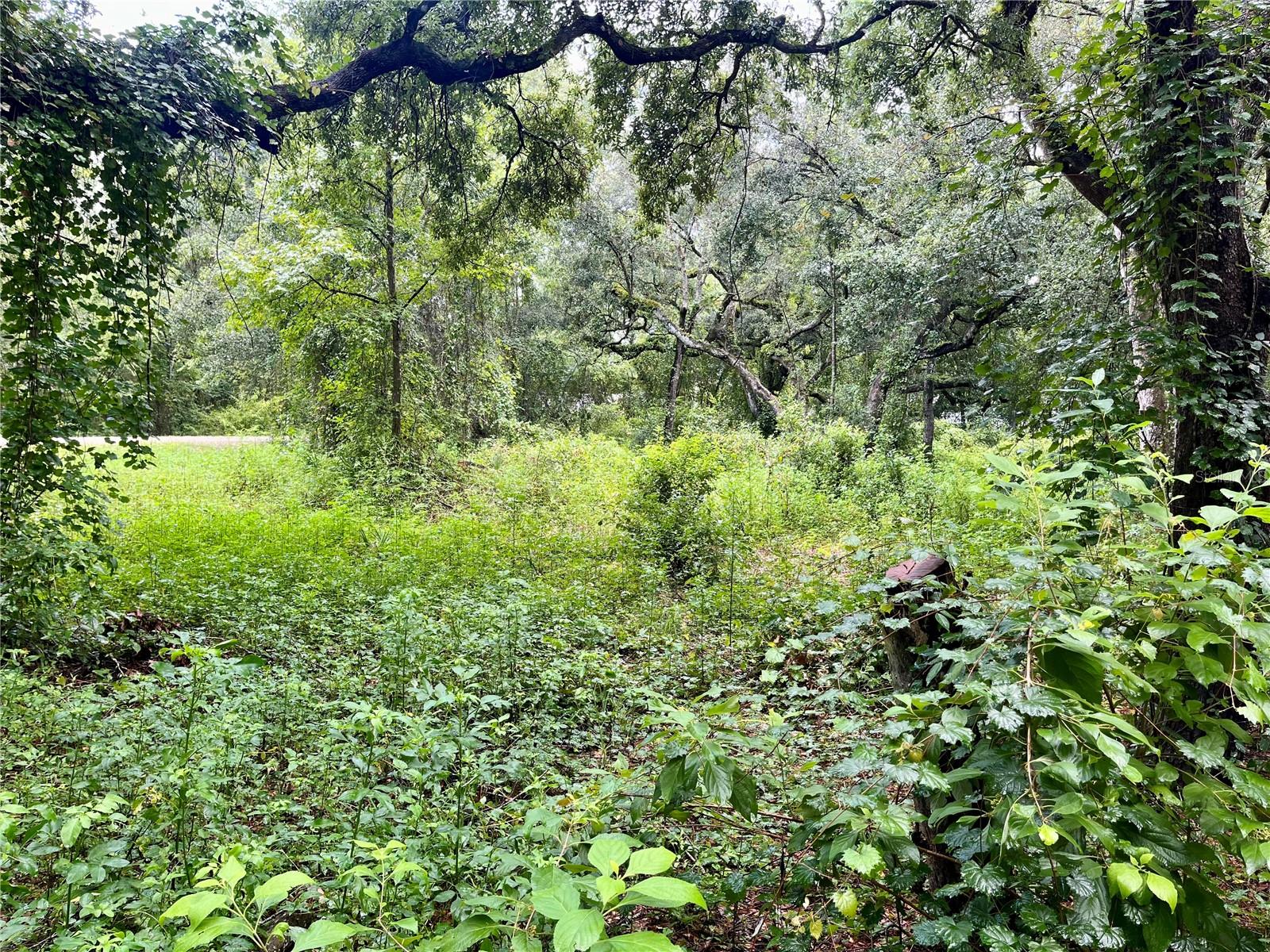 POLARIS RD