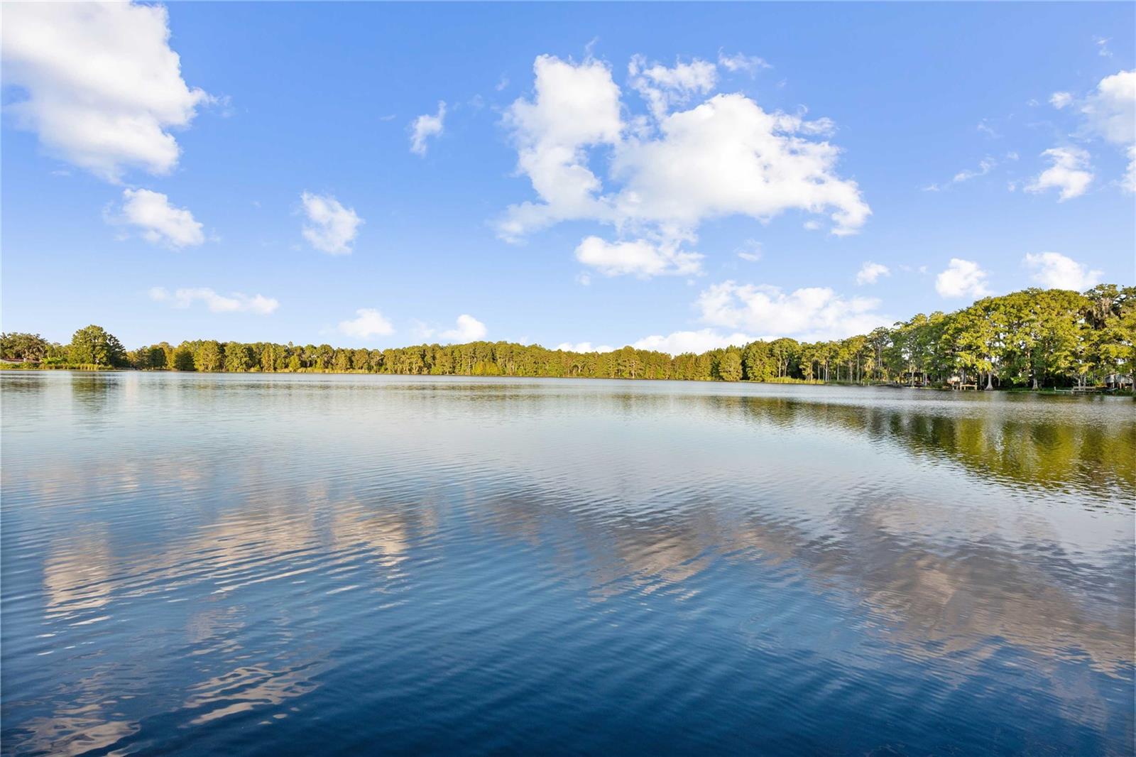 10836 LAND O LAKES BLVD