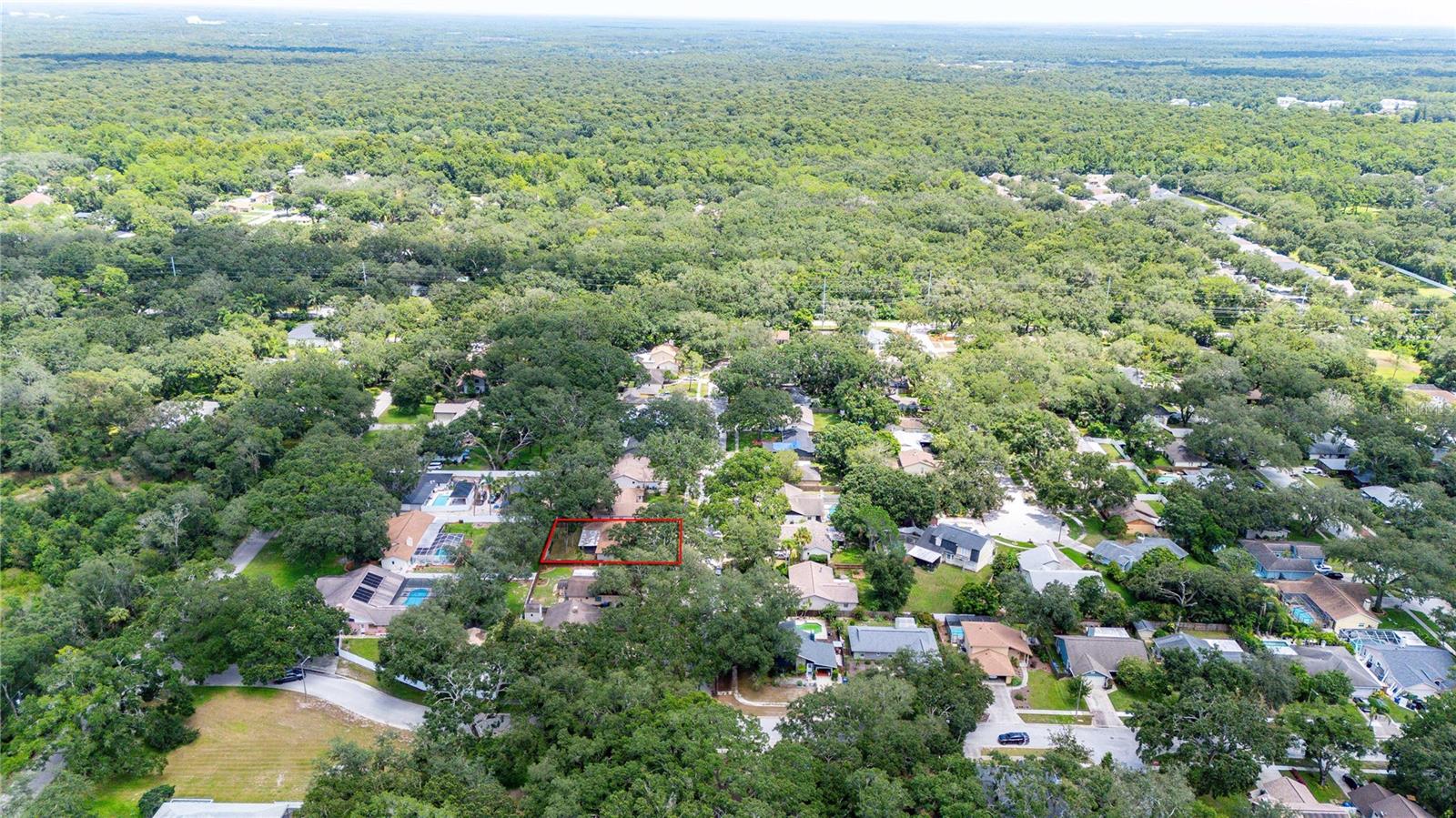 2423 FORREST CREST CIR