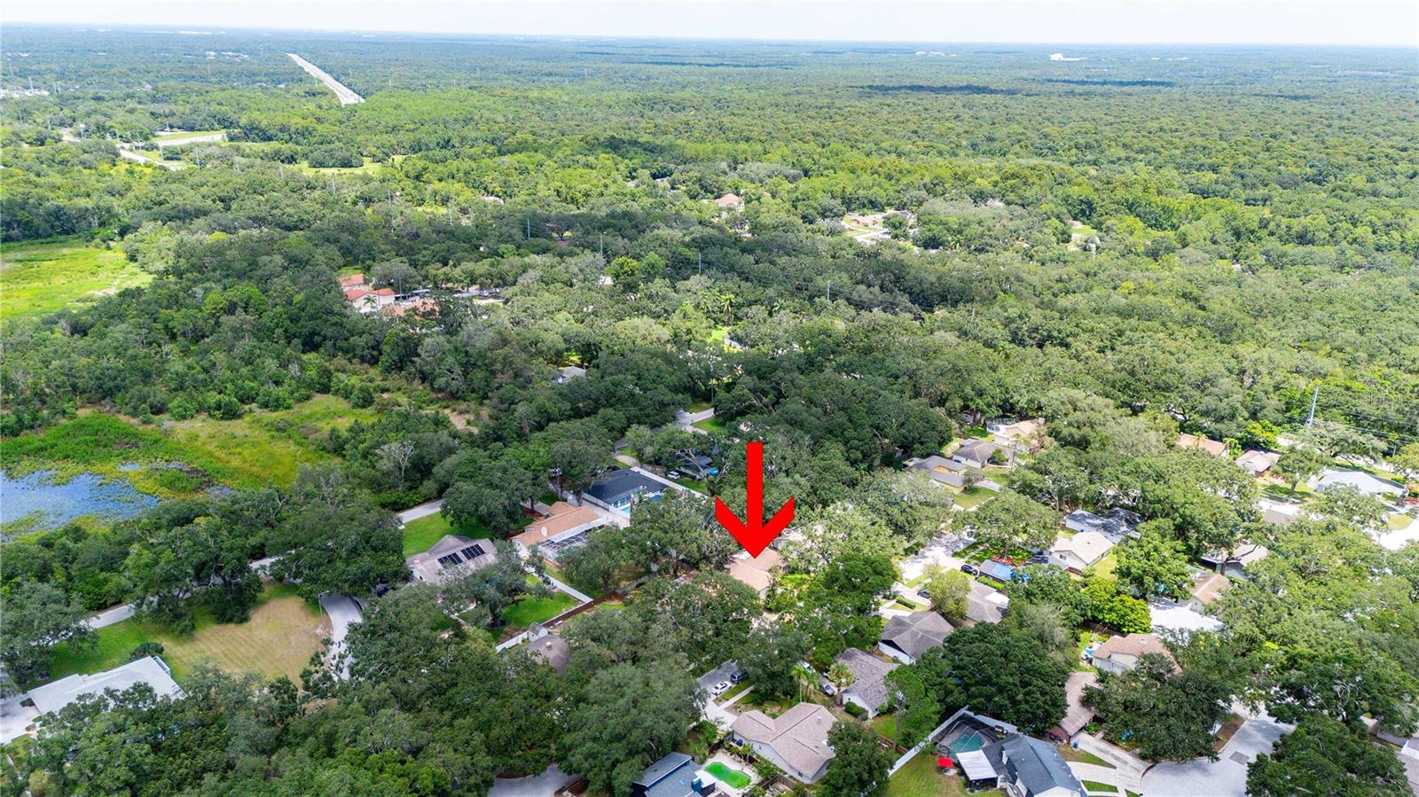 2423 FORREST CREST CIR
