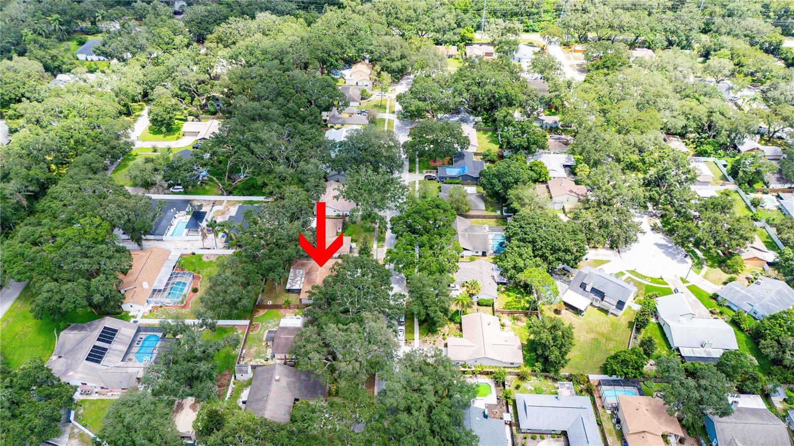 2423 FORREST CREST CIR