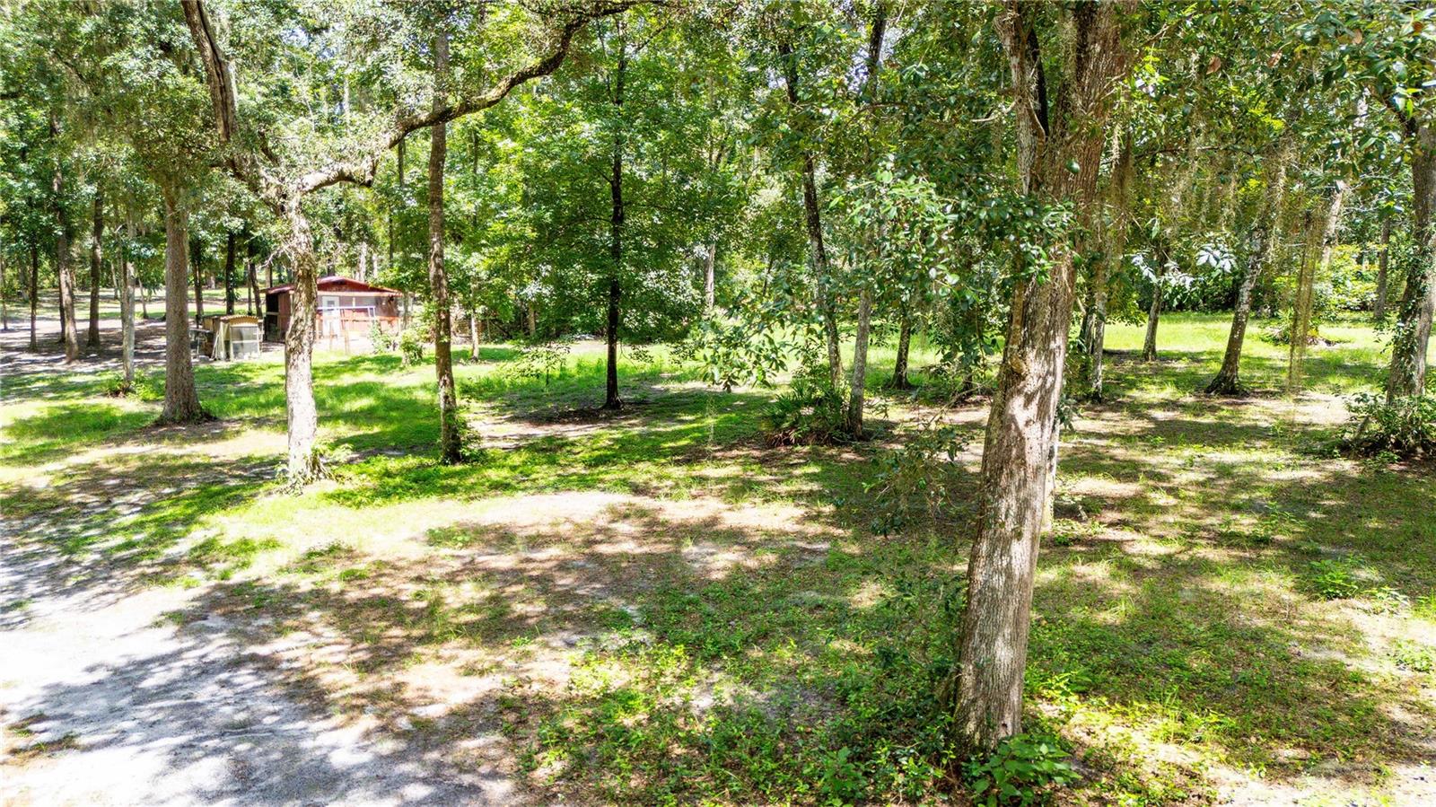24142 TAMBER ROAD