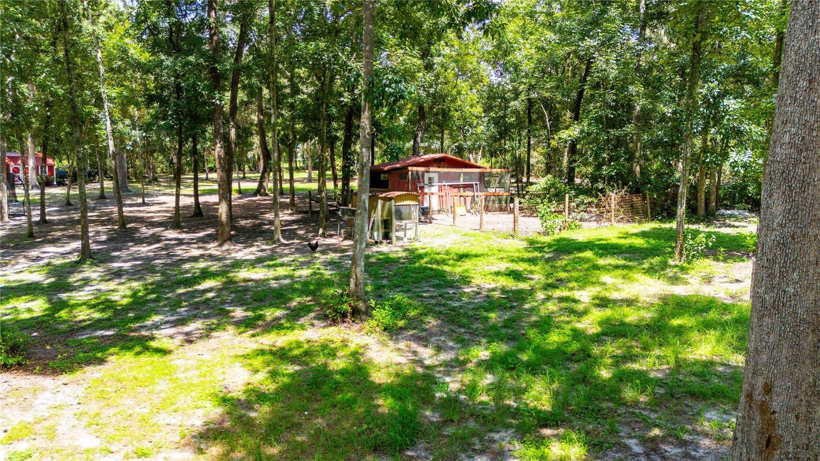 24142 TAMBER ROAD
