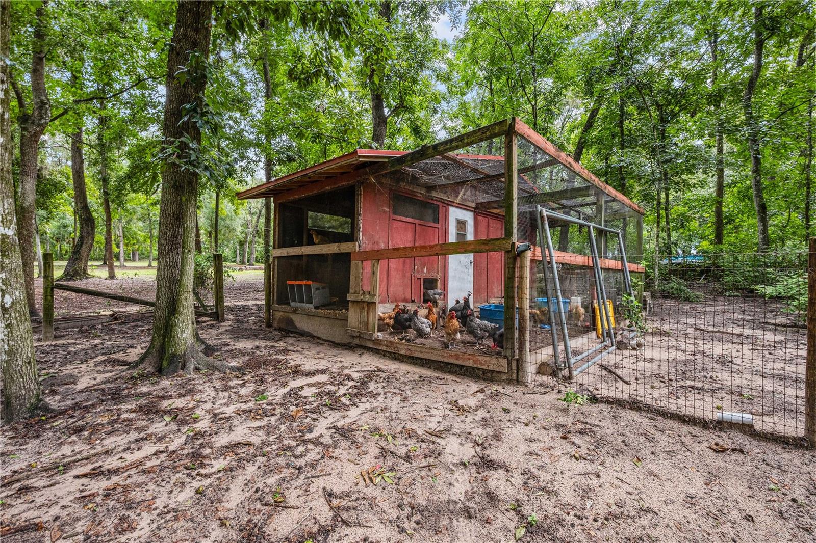 24142 TAMBER ROAD
