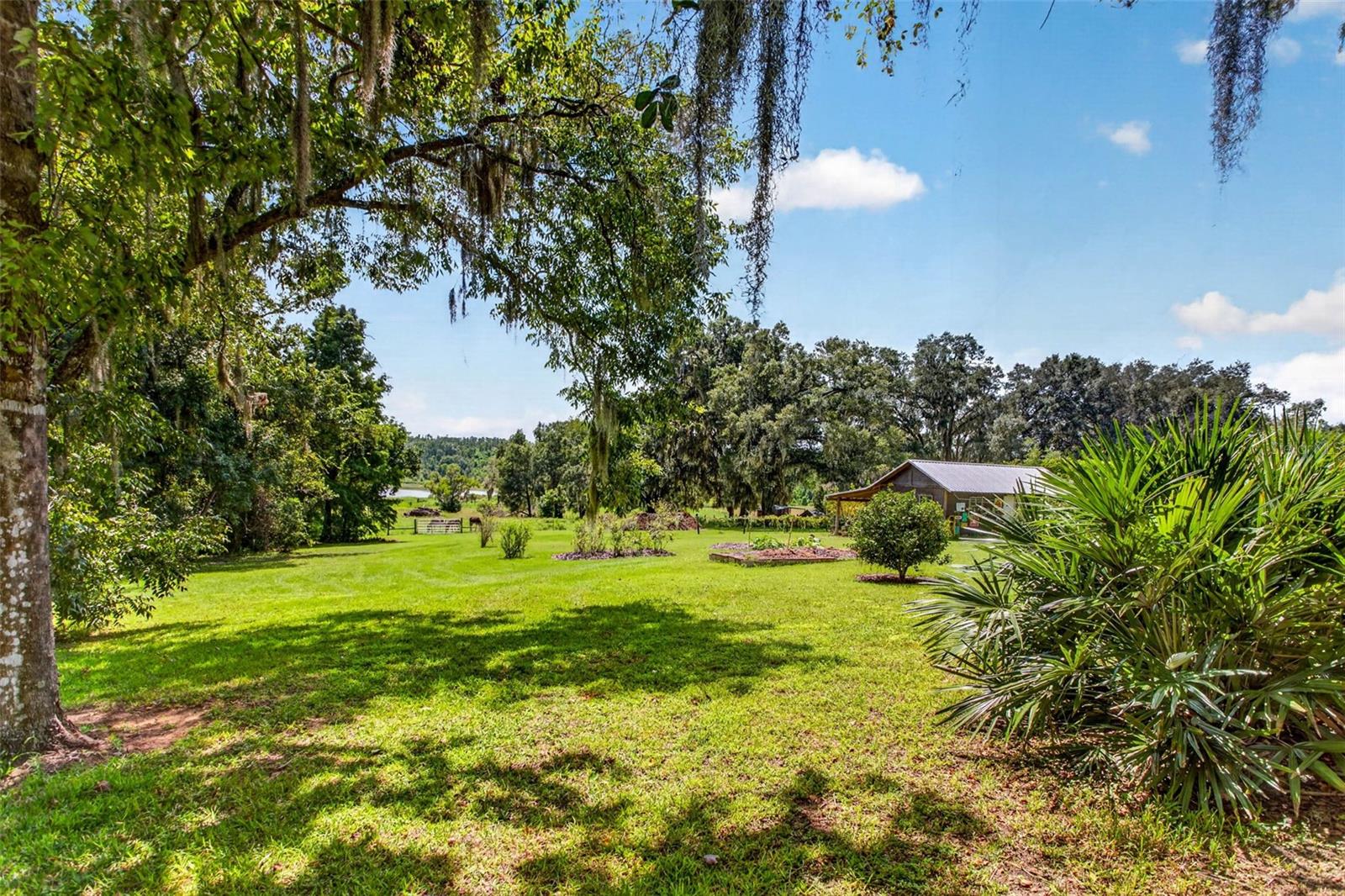32824 LISTER RD