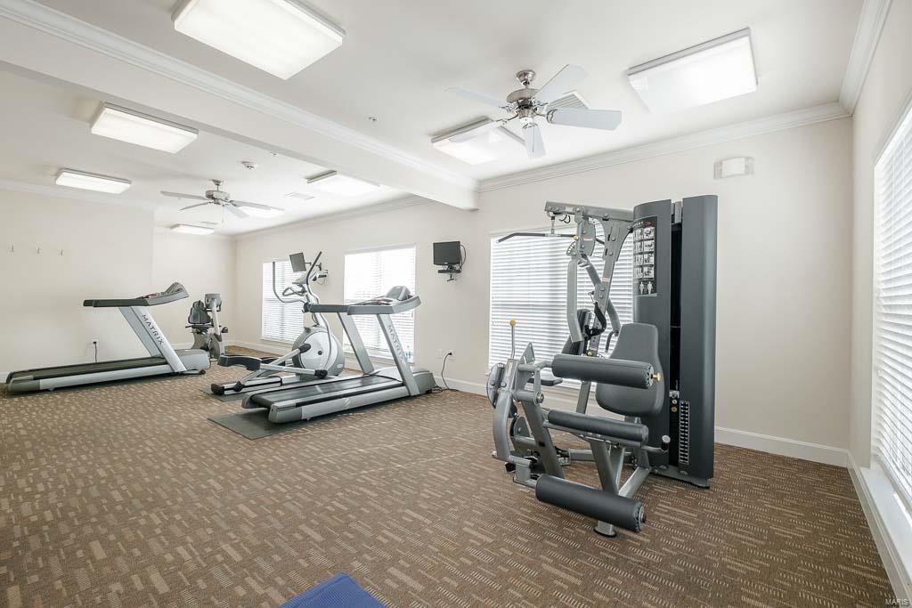 1251 Strassner Drive Unit: 2408