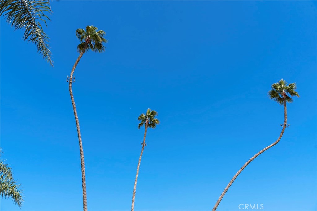 2441 Crestview Drive