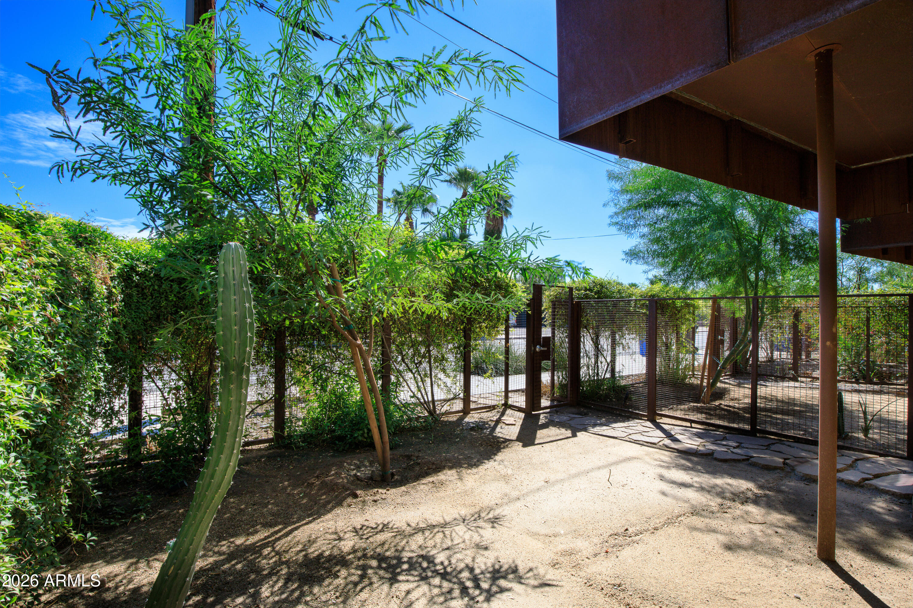 Enclosed patio with a tall cactus, dense greenery, and mesh fencing beneath a covered overhang.