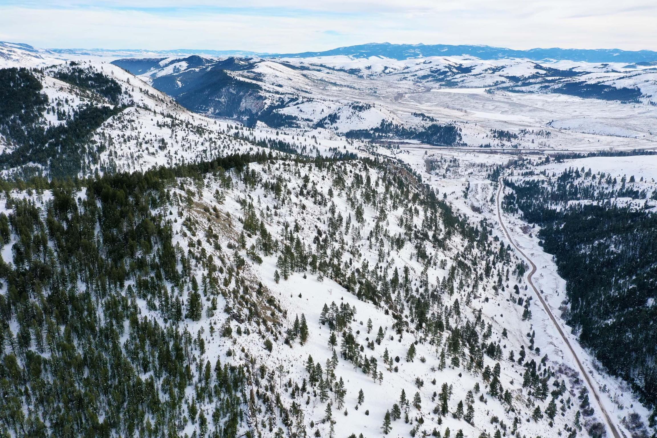 151 Bear Tracks Road