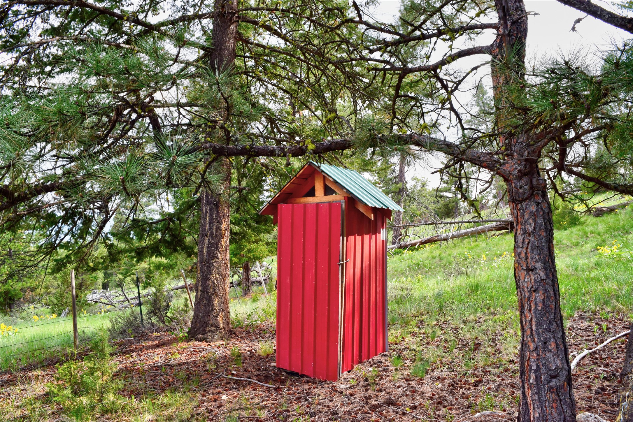 151 Bear Tracks Road