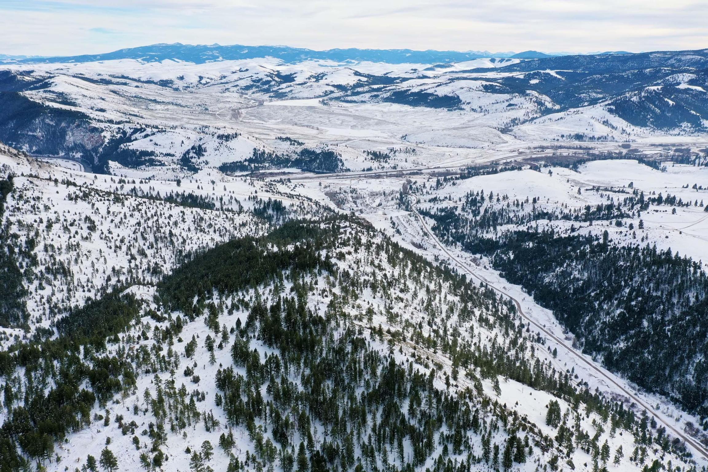 151 Bear Tracks Road