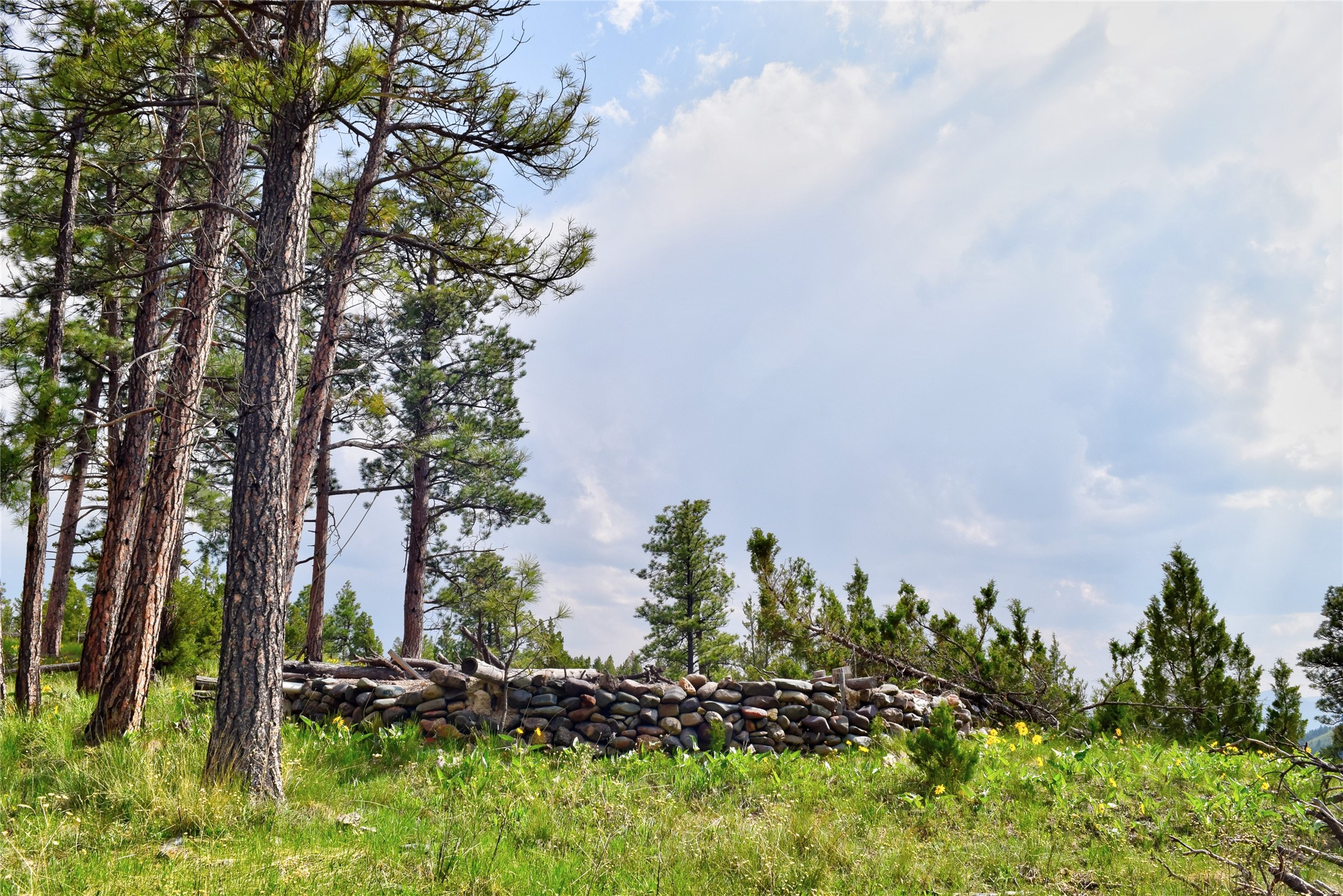 151 Bear Tracks Road