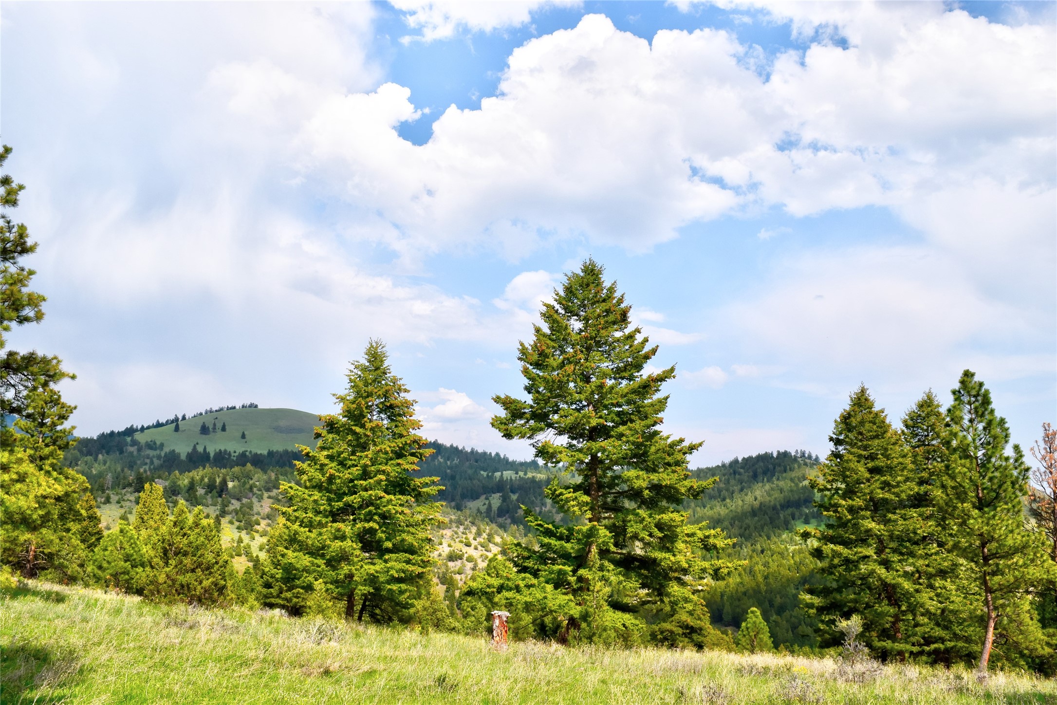 151 Bear Tracks Road