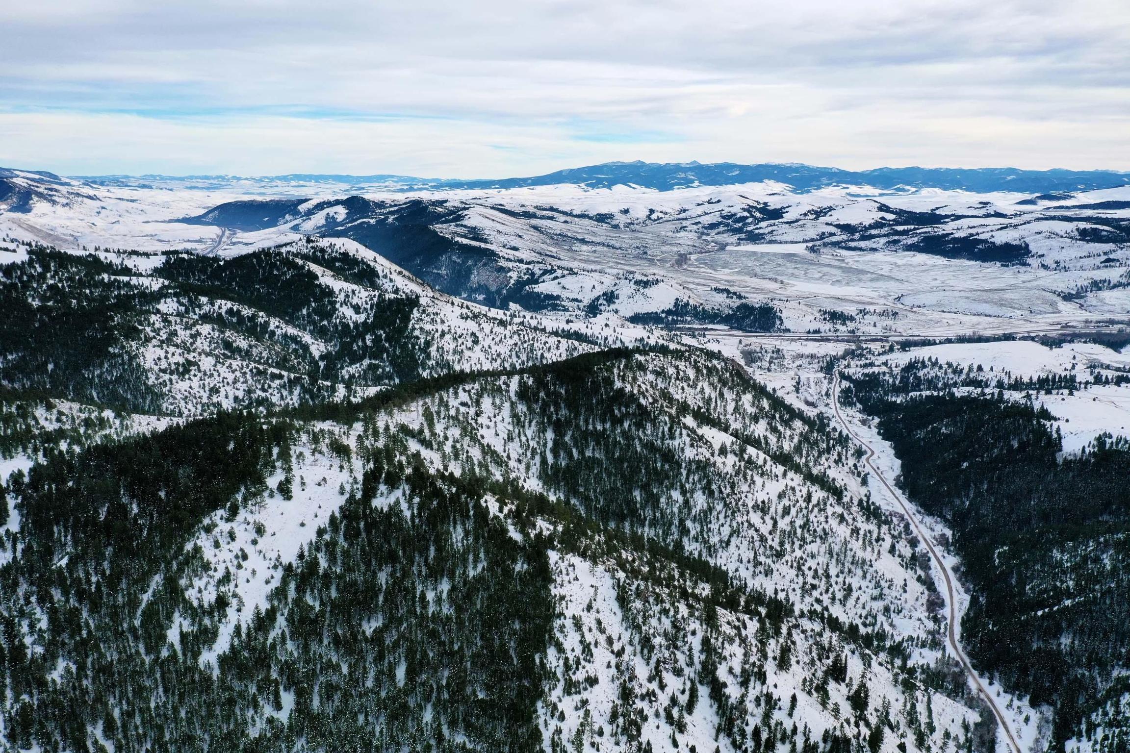 151 Bear Tracks Road