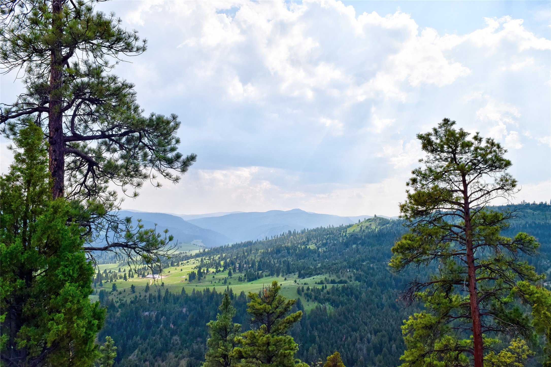 151 Bear Tracks Road